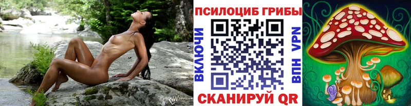 Псилоцибиновые грибы мицелий  Лагань 